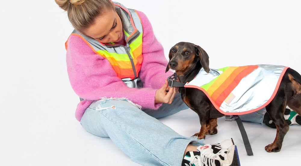 Vêtements pour chien