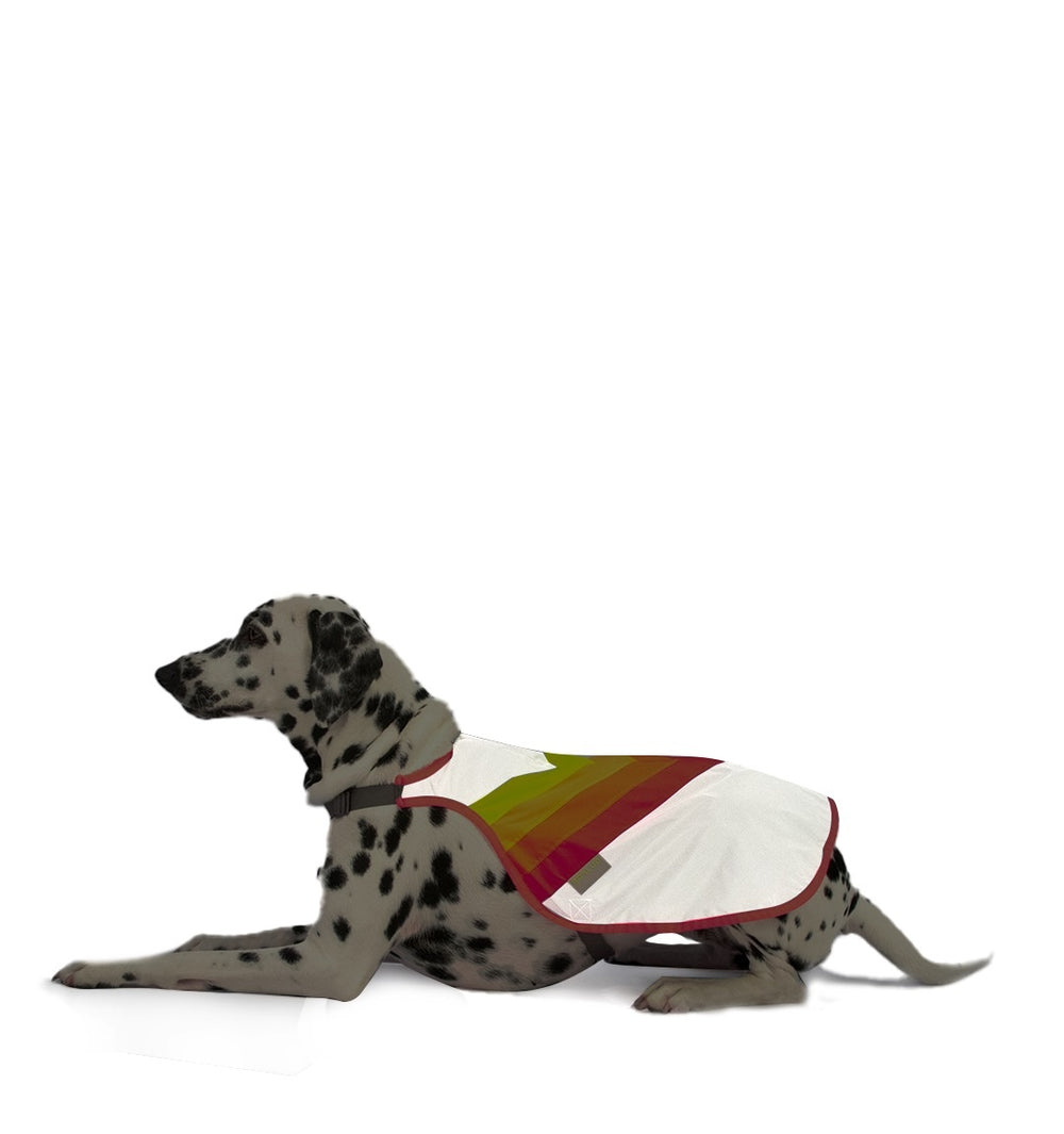 Gilet pour chien GoFluo – Luna