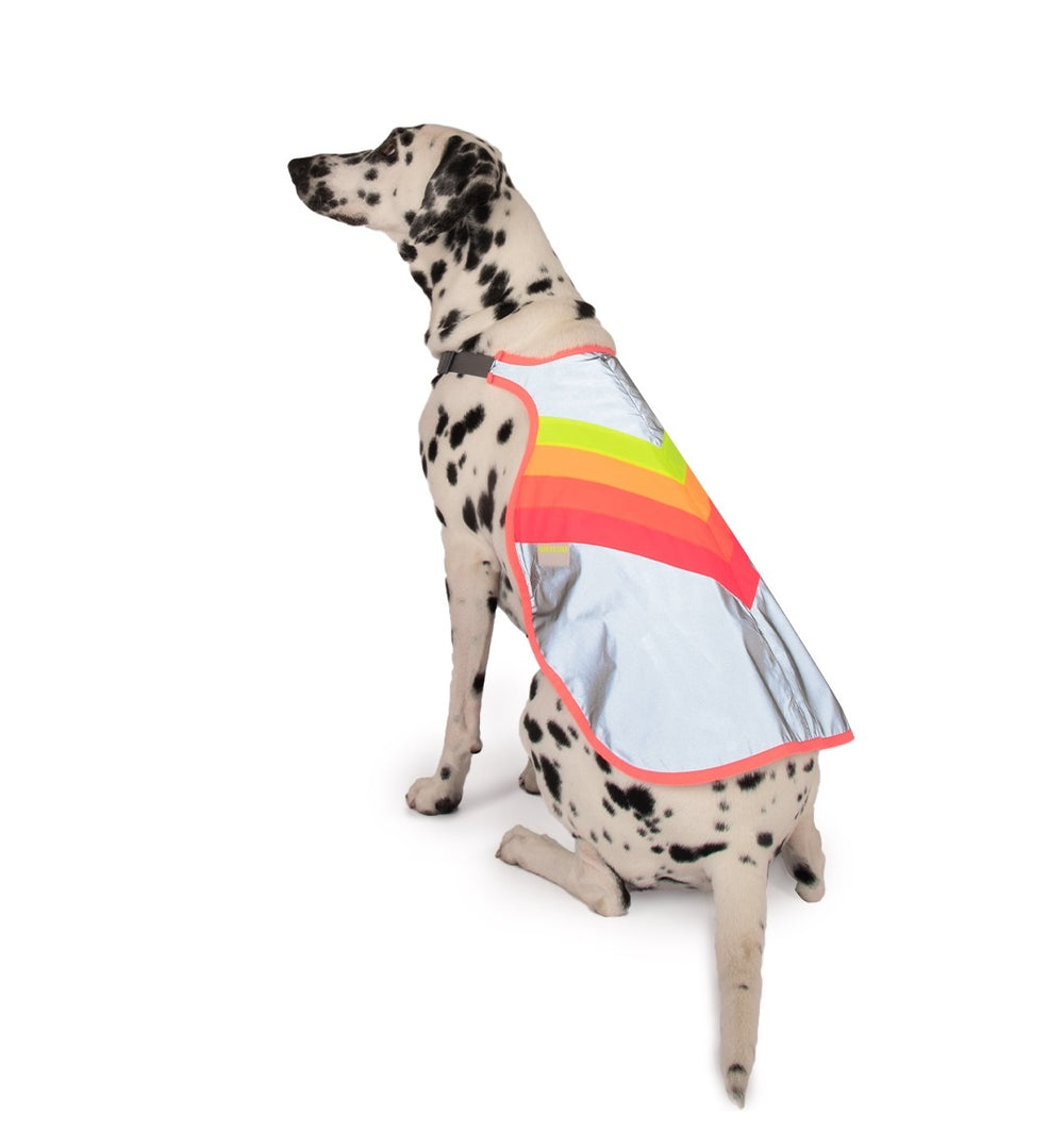 Gilet pour chien GoFluo – Luna