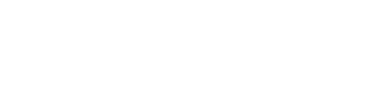Logo DexShell blanc