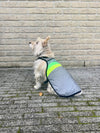 Gilet pour chien GoFluo – Moonlight