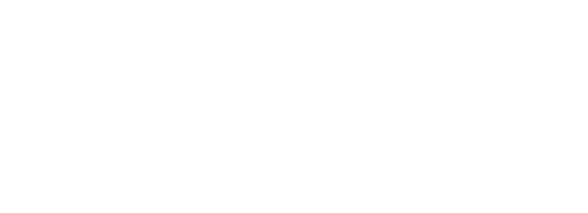 Logo newlooxs blanc