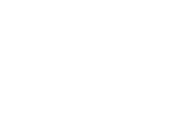 Logo VisioDry blanc